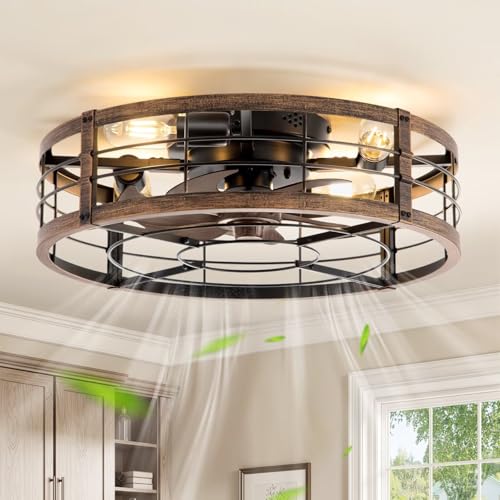 LEDIARY 20-Inch Black & Gold Caged Low Profile Ceiling Fan with Light & Remote