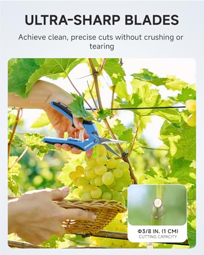 Fondwell 6.5-inch Micro-Tip Pruning Shears with Straight & Curved Blades, Silver