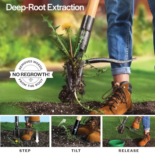 Large WilFiks Weed Puller Tool with Long Handle & Foot Platform - Heavy Duty Garden Weeder