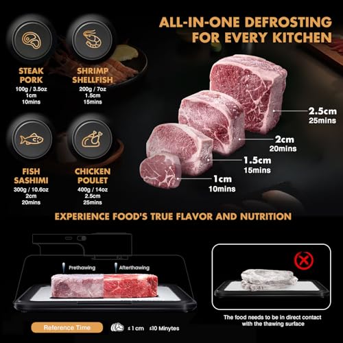 AuntyFey Black Rapid Defrosting Tray for Frozen Meat – Thawing Plate