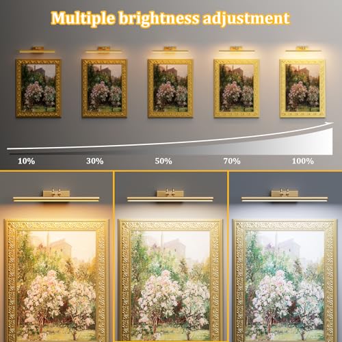 Percantis 13.8-Inch Gold Wall Picture Light with RF Remote & USB Charging - Model: Gold / 13.8Inch / 1