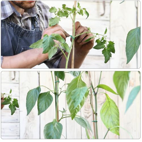 YDSL 100 Feet Green Plant Tie Support - Soft Garden Twine for Climbing Vegetables & Flowers, Diameter 2.5mm, Reusable