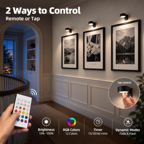 EZVALO Black Rechargeable Picture Lights 3 Pack with Remote & RGB for Wall Art