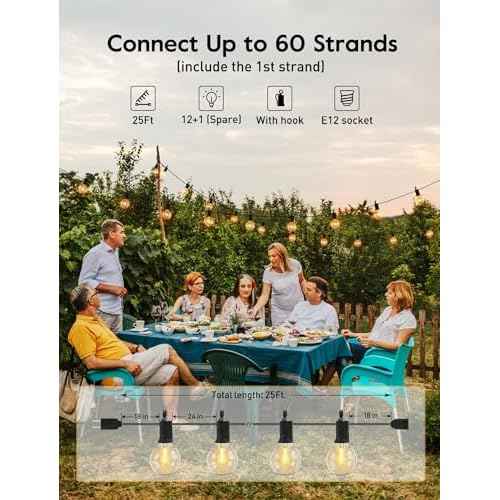 Outdoor String Lights 25 Feet G40 LED Patio Lights, Plug-in, 13 Plastic Edison Bulbs(1 Spare), Waterproof Connectable Hanging Light for Backyard Porch Balcony Party Decor, E12 Base, Black