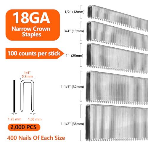 Assorted 2000 Count Galvanized Narrow Crown Staples 1/2"-1 1/2" for Stapler - Silver, 5 Sizes