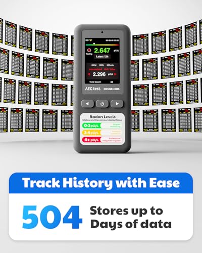 AEGTEST HOUND-1011S Portable Radon Detector Grey - Home Safety Monitor with Alarms