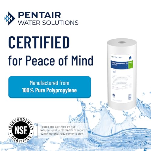Pentair Pentek DGD-5005 Big Blue 10-Inch 5 Micron Whole House Sediment Water Filter Cartridge Pack of 1