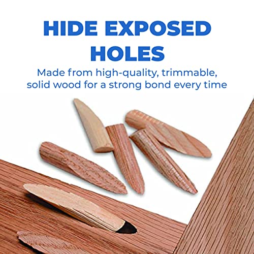 Kreg Paint Grade Pocket-Hole Plugs, P-PNT, 50 Pack — Woodworking Accessories