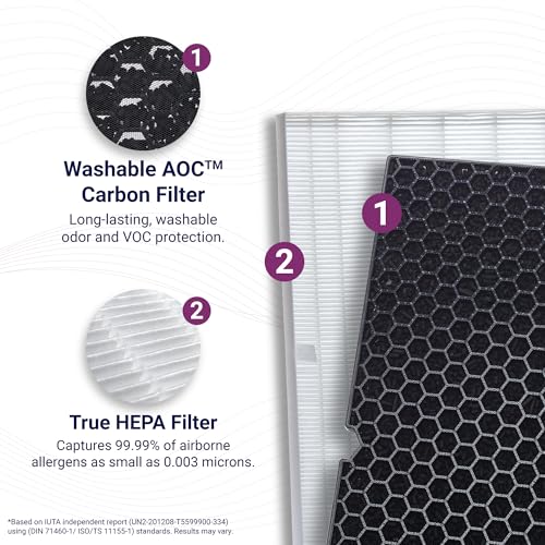 Genuine Winix 5500-2 Replacement Filter H (2 Count) for Winix 5500-2 Air Purifier, White