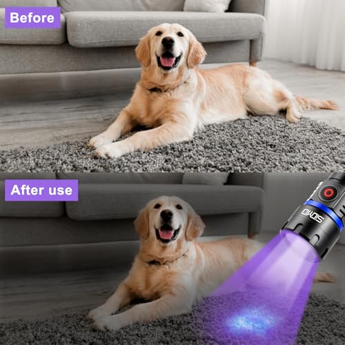 365nm UV-Flashlight Blacklight, 60W 6*LED Beads, 5000mAh Rechargeable Black Light, IP65 Waterproof Blacklight Flashlights for Pet Urine Detection, Resin Curing, Rock Hunting, Mineral Detection