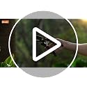 Decerk 8.5-Inch Professional Pruning Shears Black Orange | Sharp, Durable Garden Clippers for Branches Up to 3/4"