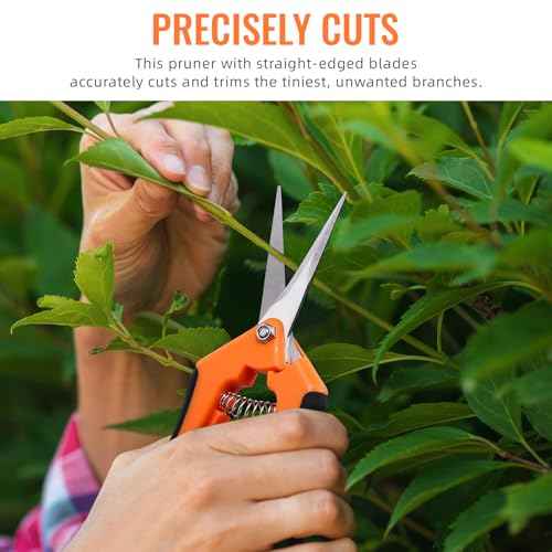 BEoffer 4 Pack Pruning Shears, 6.5 Inch Garden Scissors Gardening Hand Pruning Snips with Straight Stainless Steel Precision Blades for Gardening Flower Plant Precise Trimming and Pruning Maintenance