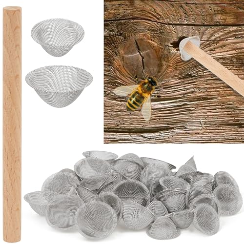 Carpenter Bee Hole Plugs 50 Pcs ? Stainless Steel Carpenter Bee Corks for Outside, 2 Sizes Hole Filler with Wooden Stick, Porches, Fences, Roofs, Outdoor Wood Repair Kit