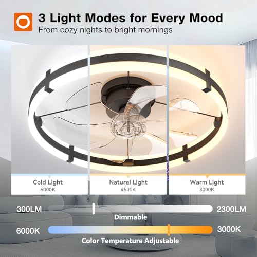 addlon 24 Inch Black Low Profile Ceiling Fan with Lights & Remote