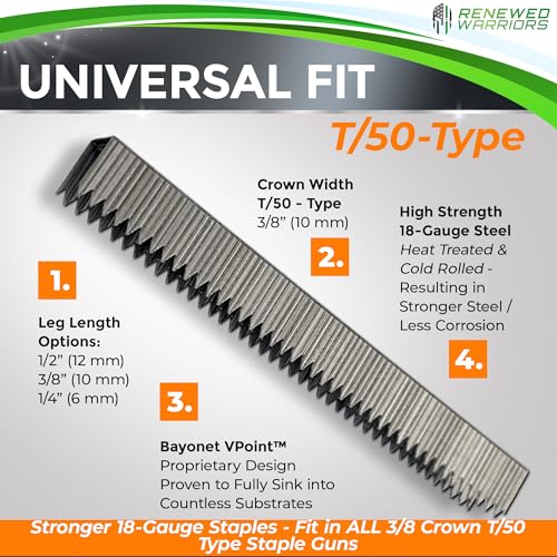 Renewed Warriors T/50 Type Heavy Duty Galvanized Staples 3/8" Leg, 2000 Pack