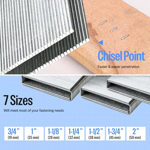 Meite 16 Gauge 7/16 Inch Standard Crown Staples 1 Inch Length – 10,010 PCS