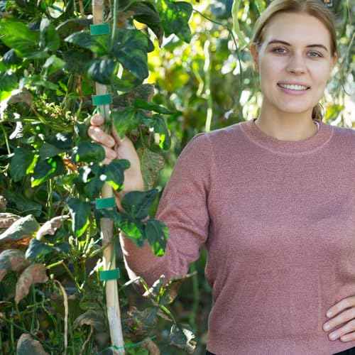 4 Roll Plant Tape Garden Ties, 131 Ft Green Plant Ties for Climbing Plants, 1/2" Adjustable Twist Ties for Plants Support, Reusable Nylon Gardening Tape for Growing, Home, Office