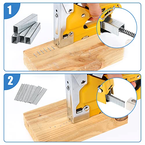 Heavy Duty T50 Staples and 18GA Brad Nails, 2400-Count 6 Sizes Includes: 5/16", 3/8", 1/2", 9/16" T50 Staples and 3/8", 1/2" Brad Nails Assorted, Galvanized