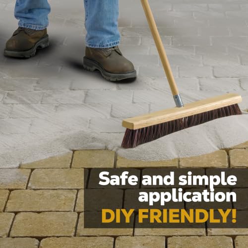 10 Pound Titanium Gray DOMINATOR Polymeric Sand with Ceramic Flex Technology for Paver Joints