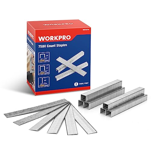 Heavy Duty Galvanized Staples & Brad Nails Kit for Upholstery & Carpentry - 7500 Count