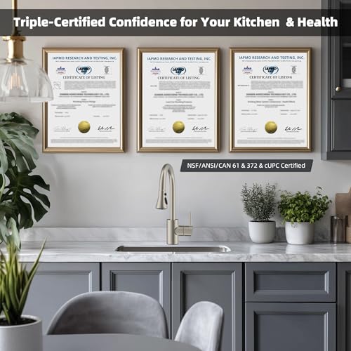 Hibbent 2.5GPM Kitchen Faucet Spray Head with 3 Modes, Brushed Nickel, 15 Adapters
