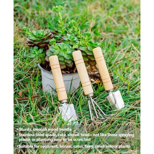 Josteve Plant Repotting Mat, 5Pcs Succulent Tools Mini Garden Small Gardening Tools Indoor, Pruning Shear Gardening Scissor, Hand kit for Bonsai, Cactus, Fairy, Houseplant Transplanting, Seedling
