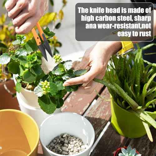 4PCS Mini Bonsai Pruning Scissors, Small Pruner Shears Bud Leaves Trimmer Stainless Steel Gardening Clippers for Flower Bud and Bonsai Trimming Pruners Trimmers for Sewing Gardening(Colorful)