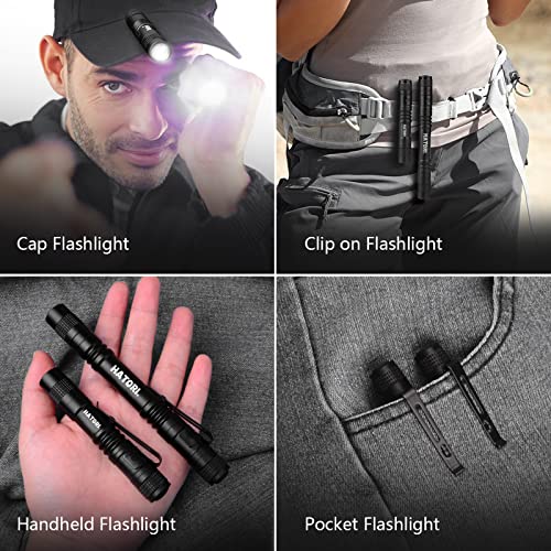 HATORI LED Mini Flashlight Pack - 3.55 Inch Black Tactical Pocket Light for Camping & Outdoor Use