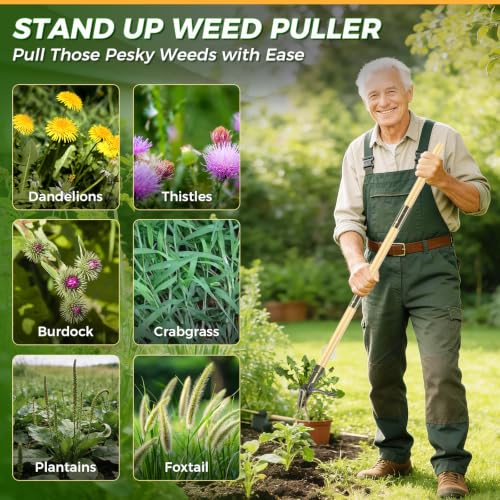 RexWeed Bamboo Brown Stand-Up Weed Puller Tool with Long Handle