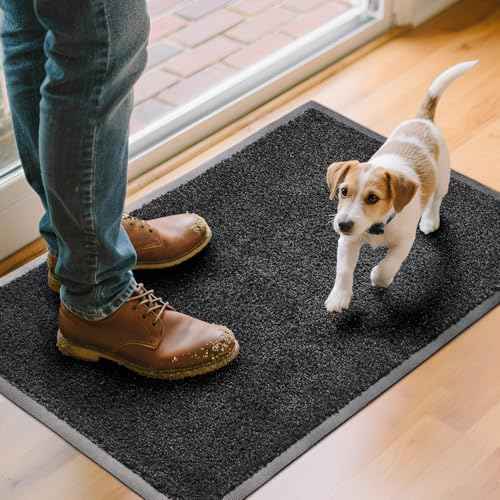 Front Door Mat, Heavy Duty Door Mat Outside Entrance for Indoor Outdoor Use, Machine Washable Low Pile Non Slip Rubber Back Entry Rug for Dogs and Indoor Entrance