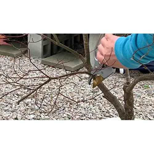 Pruning Shears Ratcheting Garden Tool | Pruners for Gardening Hand Tools | Branch Cutter | Flower Arrangements Supplies | Tree Pruner | Lawn and Garden Tools Gardening Supplies | Florist Supplies