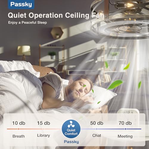 Passky 20-Inch Black Brushed Gold Caged Ceiling Fan with Lights & Remote