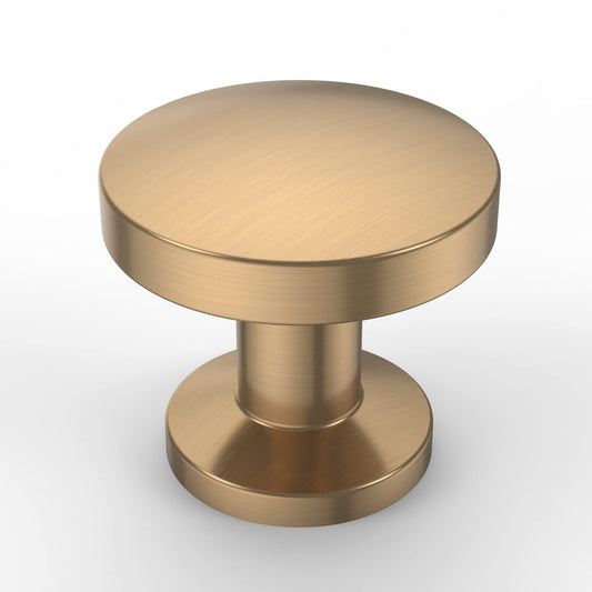 Asidrama 10 Pack Champagne Bronze Kitchen Cabinet Knobs - Dresser & Drawer Knobs - Zinc Finish