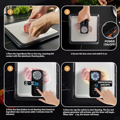 AuntyFey Black Rapid Defrosting Tray for Frozen Meat – Thawing Plate