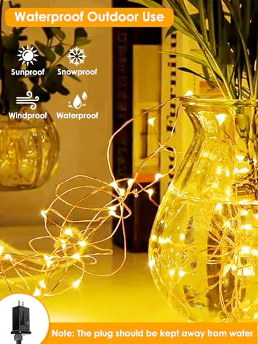 BHCLIGHT 66FT 200 LED Warm White Fairy Lights with 8 Modes & Timer, Waterproof Indoor Outdoor String Lights
