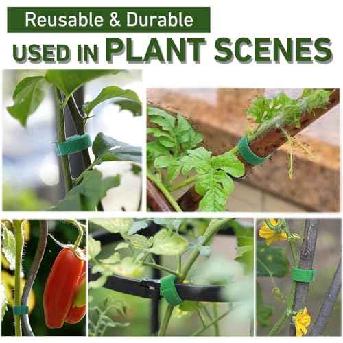 1/2inch 82ft Garden Tie Green Tape, Hitotsu Reusable Plant Tape, Nylon Plant Tie Strap for Gardening Tips, Flowers, Tomato, Vines, Tree