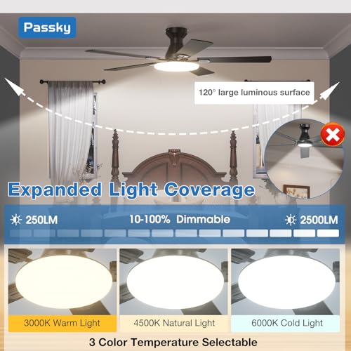 Passky Black 52 Inch Low Profile Ceiling Fan with Lights & Remote