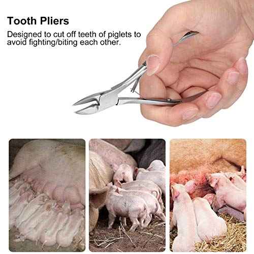 Haofy Pig Tooth Cutting Pliers, Stainless Steel, Ergonomic Handle, 13cm x 2.4in, 73g