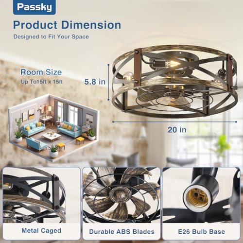 Passky 20-Inch Black Brushed Gold Caged Ceiling Fan with Lights & Remote