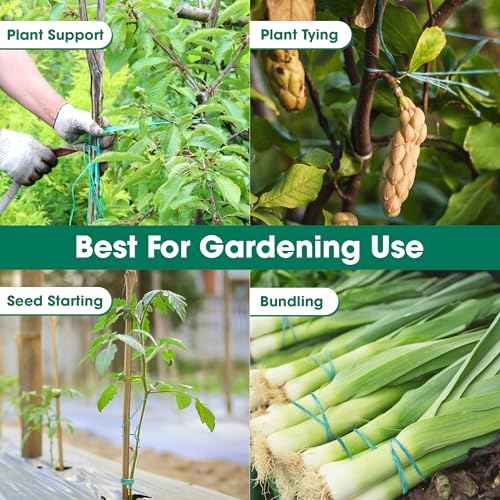 Polypropylene Twine - 5/64" x 164Ft Thick, 164 Feet Long for Bundling, Packaging, Gardening and More, Green