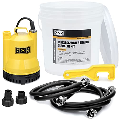 Tankless Water Heater Descaling Flush Kit with Submersible Pump & Hoses
