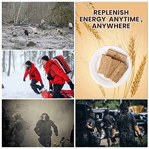 Emergency Food Ration Bars 1 Pack, Original Flavor Survival Tabs Supply for Outdoor Camping Emergency Snowstorm Earthquake Disaster Preparedness Kit with 20 years Long Self Life, 250g/bar