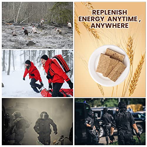 BDH Emergency Food Ration Bars - Original Flavor, 24-Hour Pack, 4 Bars