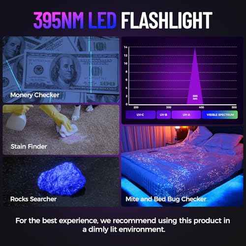 Black Light UV Flashlight 2 Pack, 12 LED 395nm UV Flashlight, Portable Mini UV Light Waterproof, Blacklight for Pet Urine Detection, Dry Stains, Bed Bug, Fluorescent Agent (Batteries not included)