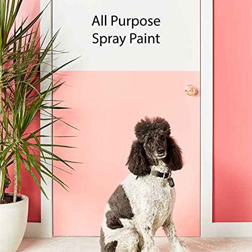 Krylon K05588007 COLORmaxx Spray Paint and Primer for Indoor/Outdoor Use, Metallic Gold, 11 Ounce (Pack of 1)