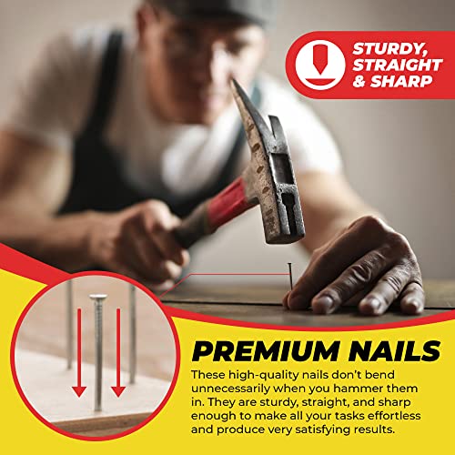 Qualihome Nail Assortment Kit - 1800+ Multi-Size Nails for DIY & Professional Projects