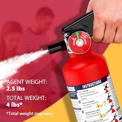 Ougist 2.5 lb ABC Fire Extinguisher - Home & Vehicle Safety, Dry Chemical, Quick-Release Handle, Model FF1KG, 1 Pack