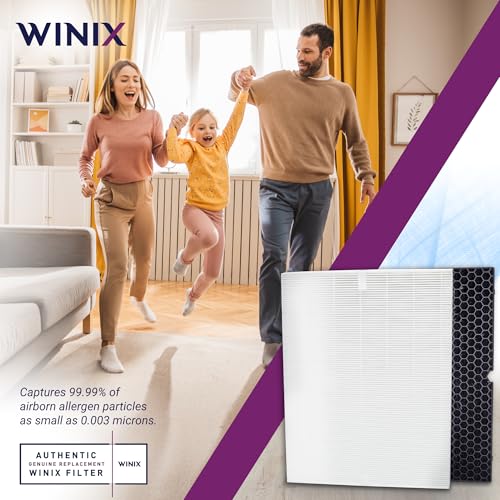 Genuine Winix 5500-2 Replacement Filter H (2 Count) for Winix 5500-2 Air Purifier, White