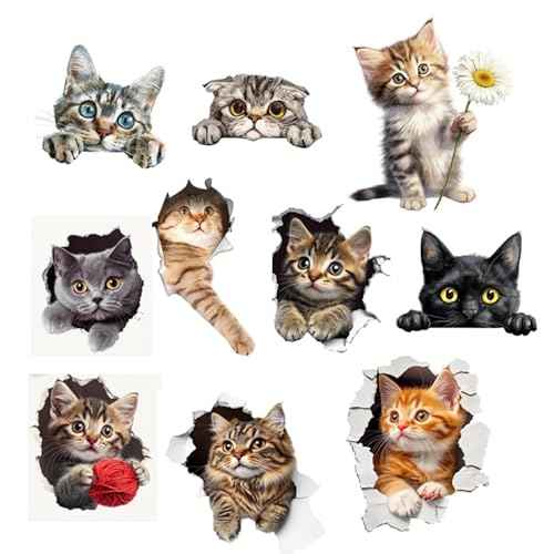 Cute Kitten Wall Decals, 3DCat Wall Decals Peel and Stick for Girls Bedroom,Cat Wall Stickers & Murals Removable