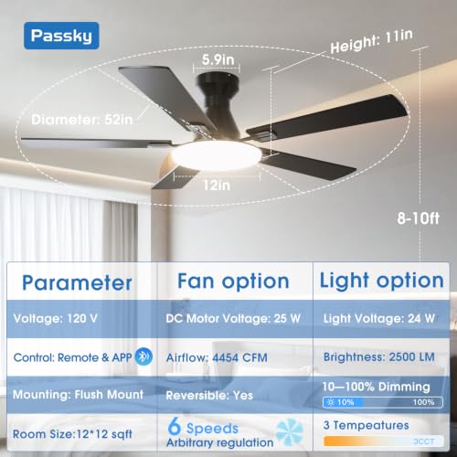 Passky Black 52 Inch Low Profile Ceiling Fan with Lights & Remote